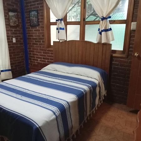 Coyoacan Departamento Tipo Colonial 墨西哥城 外观 照片